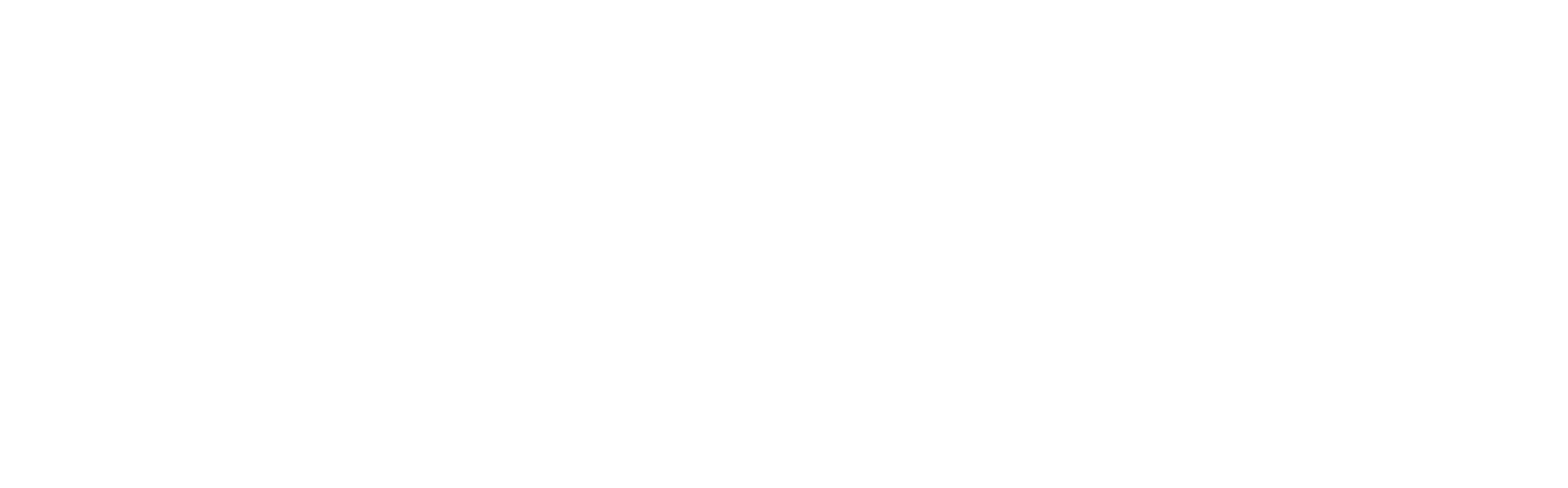 Pa Logo 2021 White